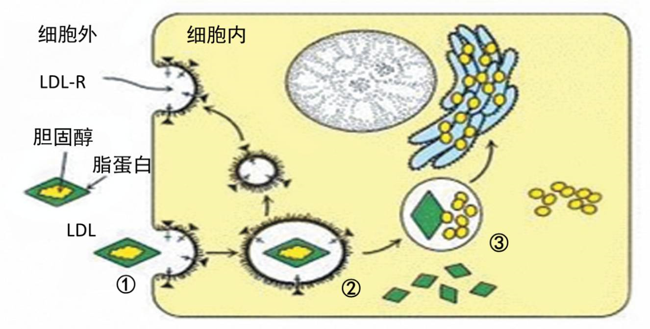 1510715530646239YJ7y.png 1510715530646239YJ7y.png