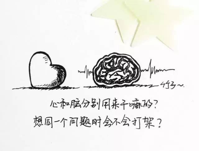 1510730361970198gtOU.jpg xw01.jpg